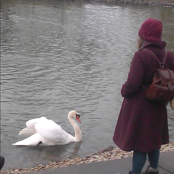 Meet your Posher, Penny - Picture 7 of 14